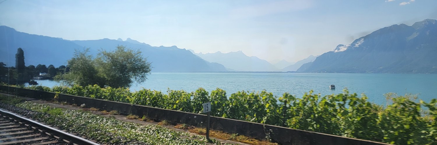 Matthias Sander banner