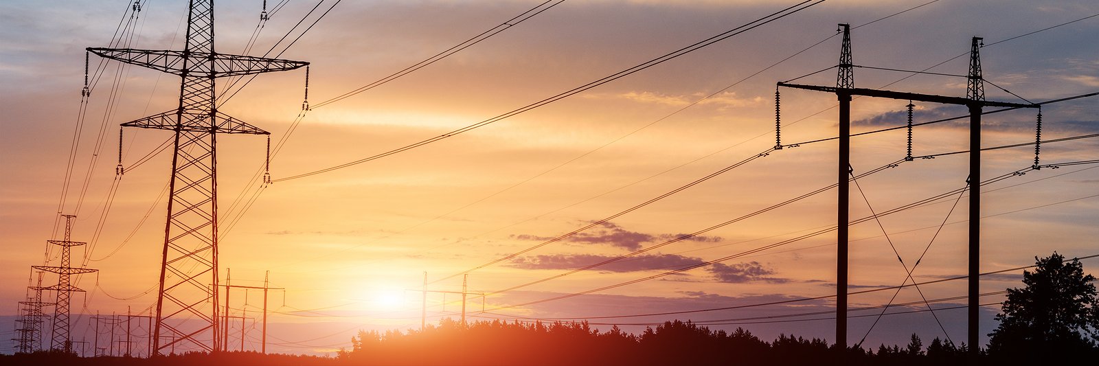 American Energy Alliance banner