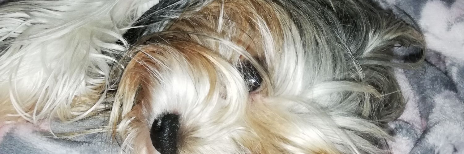 NicoHrdz_'s profile banner image