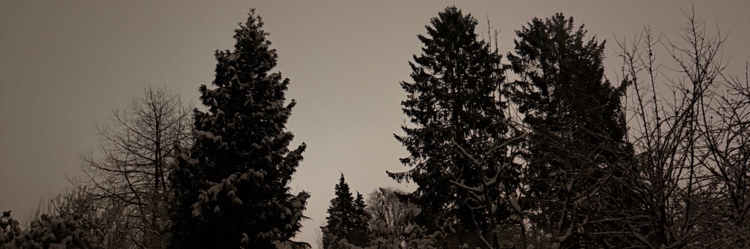Heyitsbatu's profile banner image