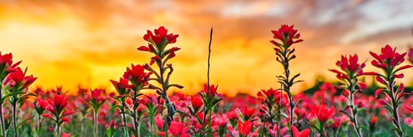 mrstroyfowler Profile Banner