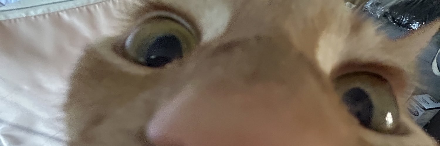 🇵🇸🍉 banner
