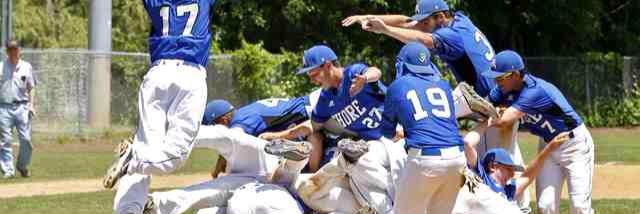 Shore Baseball banner