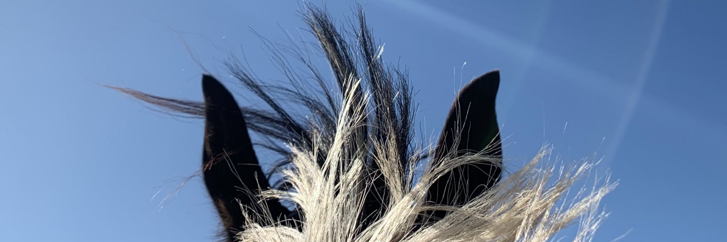 emmahogenbom's profile banner image