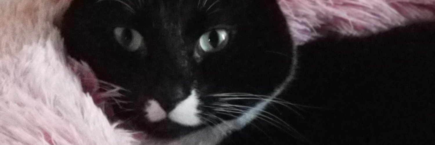 barbiis's profile banner image