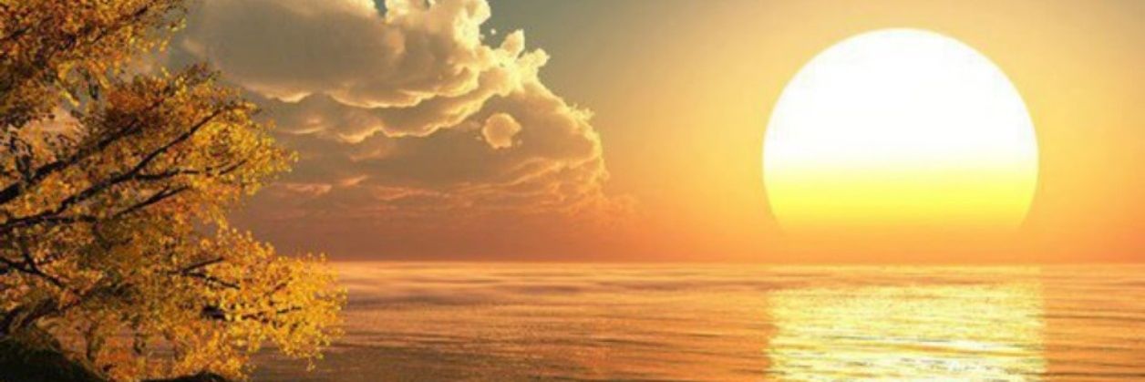 vanessastpi3rr3's profile banner image