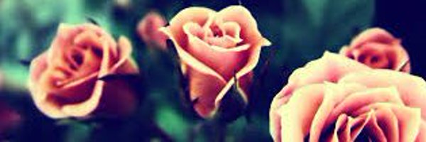 minihilton Profile Banner