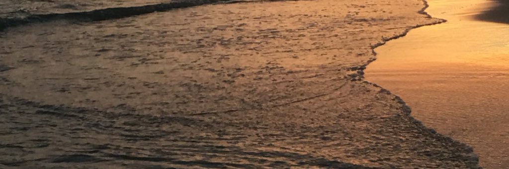 RobinHankins2's profile banner image