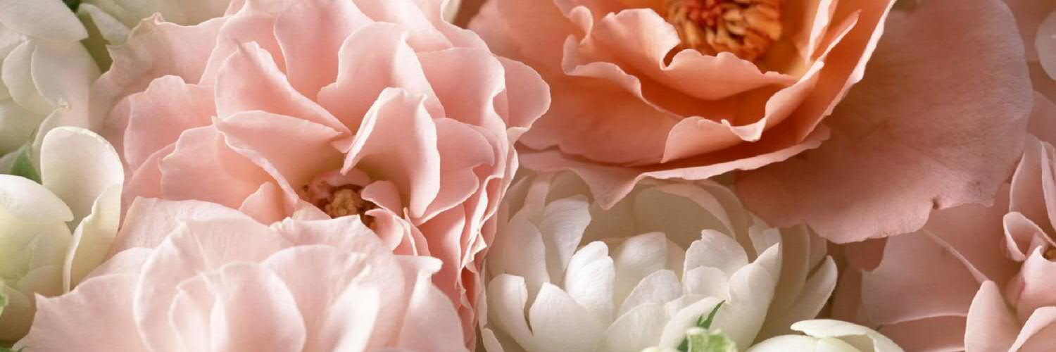 blagovamm's profile banner image