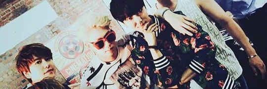 steffyftcanela's profile banner image