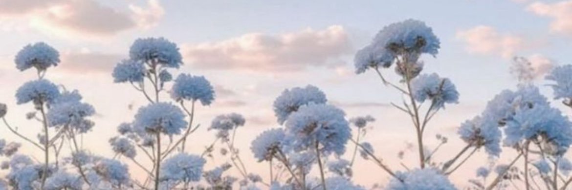 Orange_pafe's profile banner image