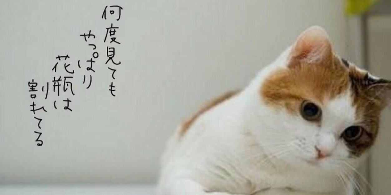 な banner