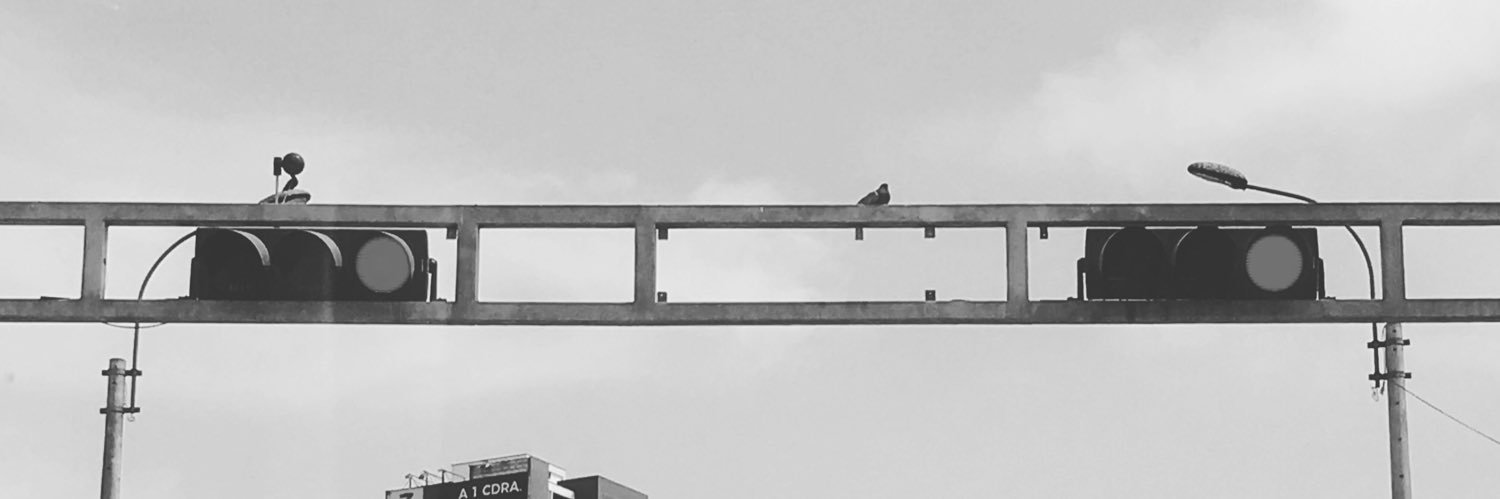 tartinou's profile banner image