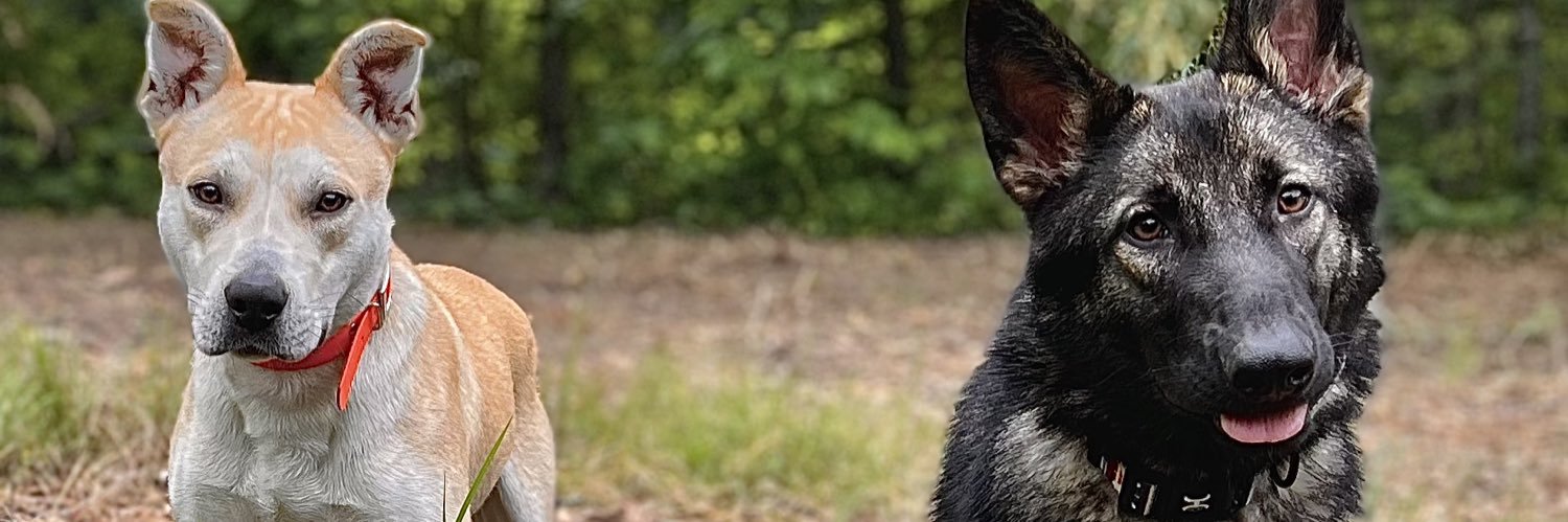 jake13ford's profile banner image