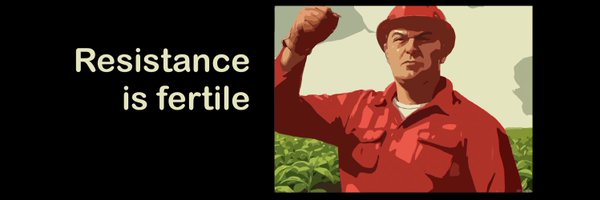 soundcube Profile Banner