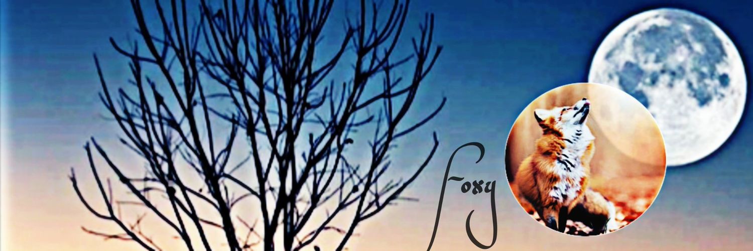 Stiles Foxy Stilinski banner
