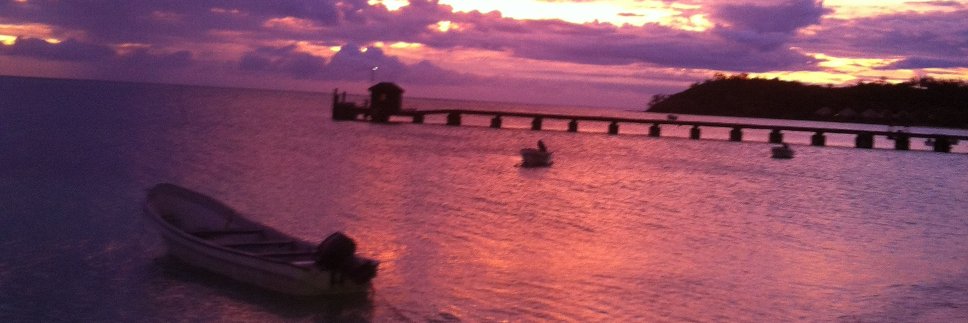 CélineMarie Bouchard banner