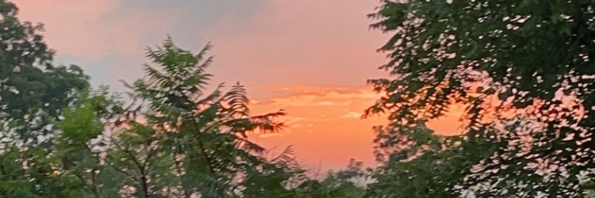 bucey_s's profile banner image