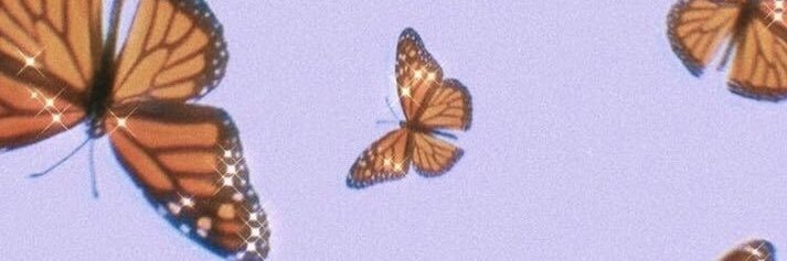 haleyfehrenbach's profile banner image
