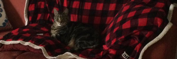 TaraWilcoxon Profile Banner