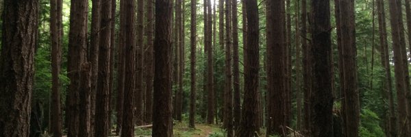 erikskogs Profile Banner