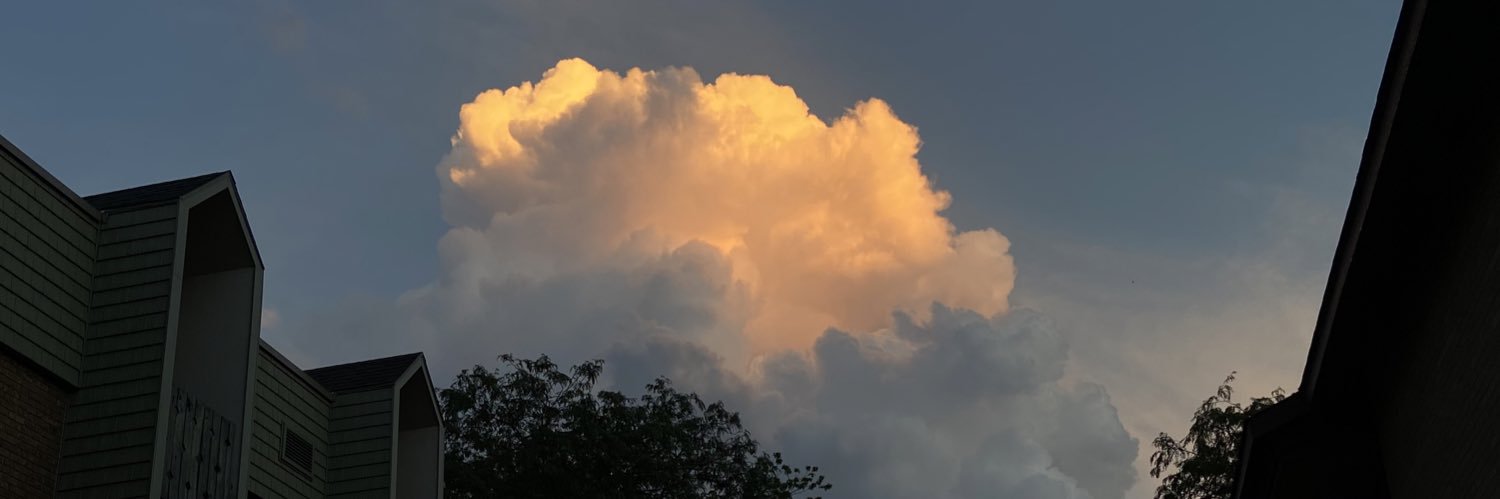 abby_mellinger1's profile banner image