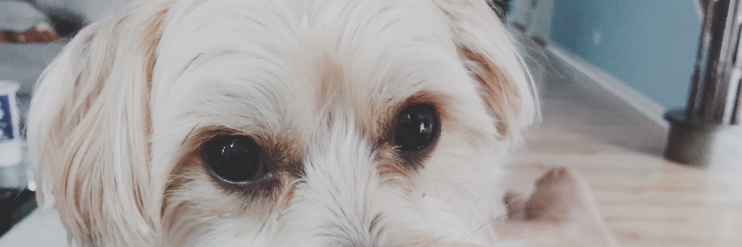 hellodannyg's profile banner image