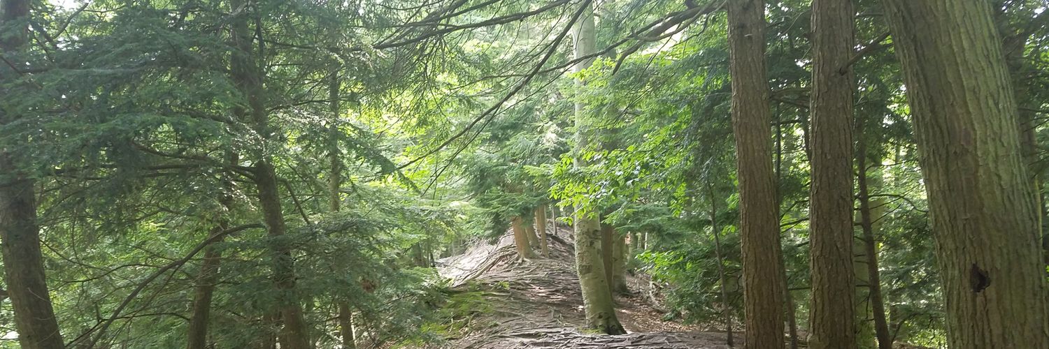 cambricker23's profile banner image
