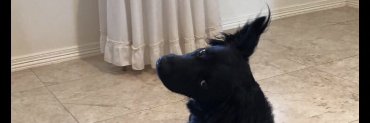 ivanng99's profile banner image