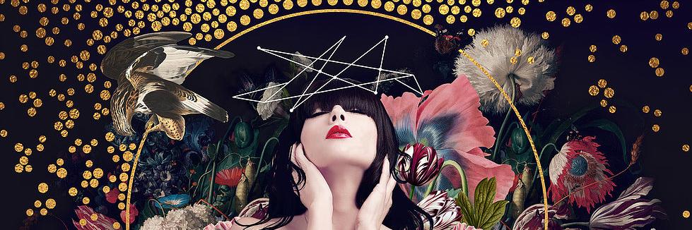 Steve Clarkson banner