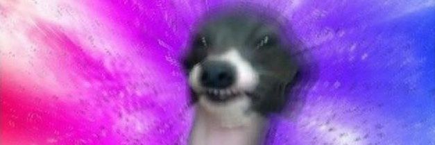 themifflin's profile banner image