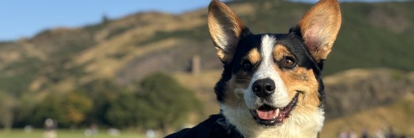 paulstephen_ Profile Banner