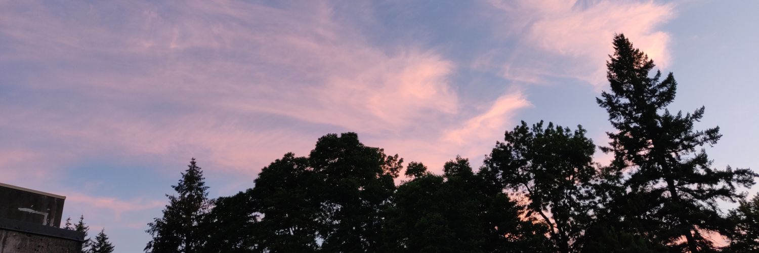 curiousllee's profile banner image