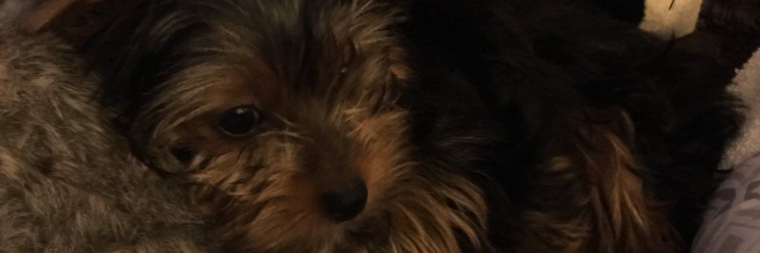 Rhaene69's profile banner image