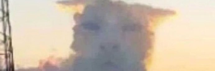 Lactso's profile banner image