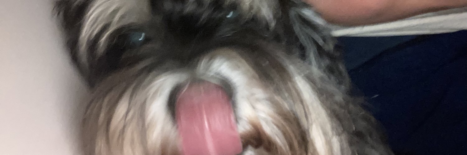 cheirimonte's profile banner image