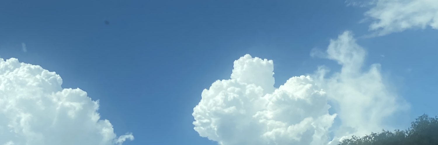 _blue_berries_'s profile banner image