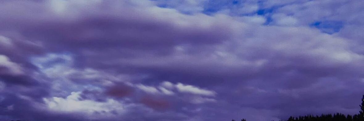 meomohf's profile banner image