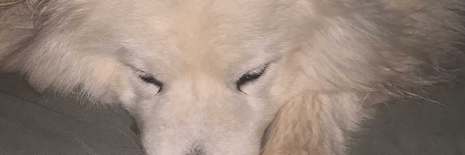 joelboot's profile banner image