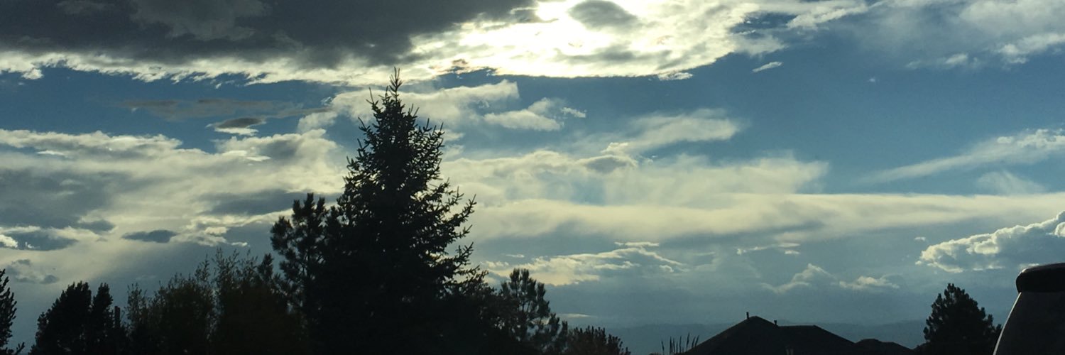 leotus92's profile banner image