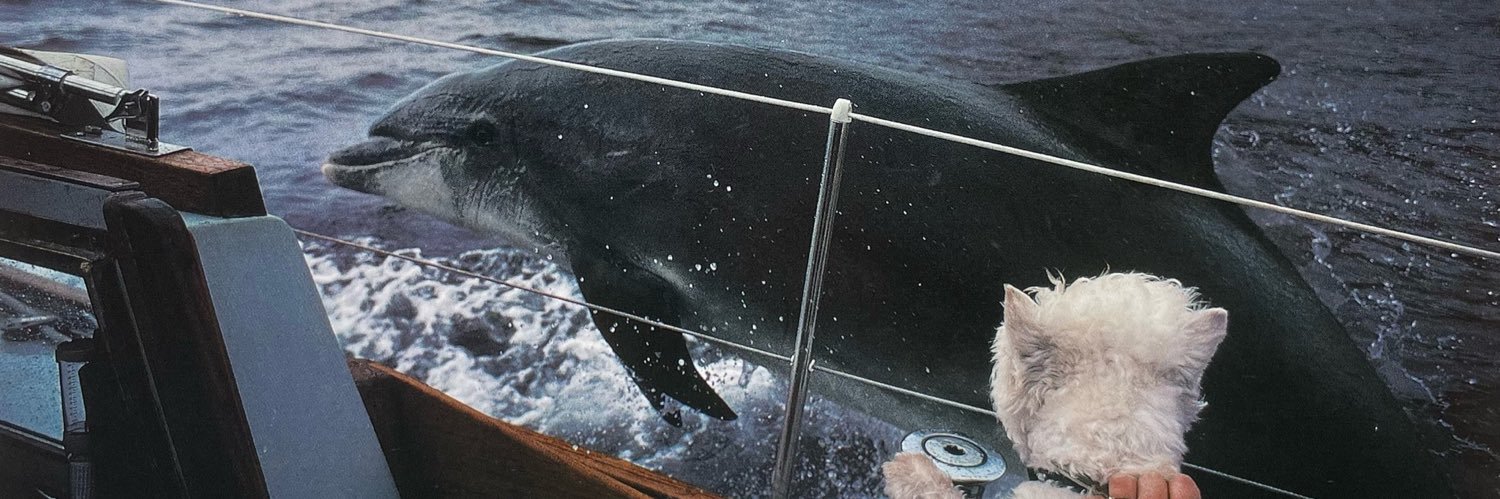 Ryan Elliott 🎬 🪐 banner