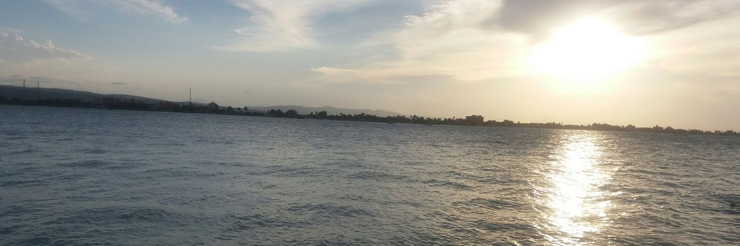 annymariam's profile banner image