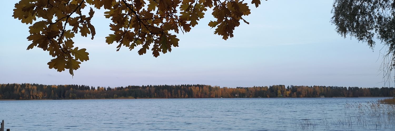 oili's profile banner image