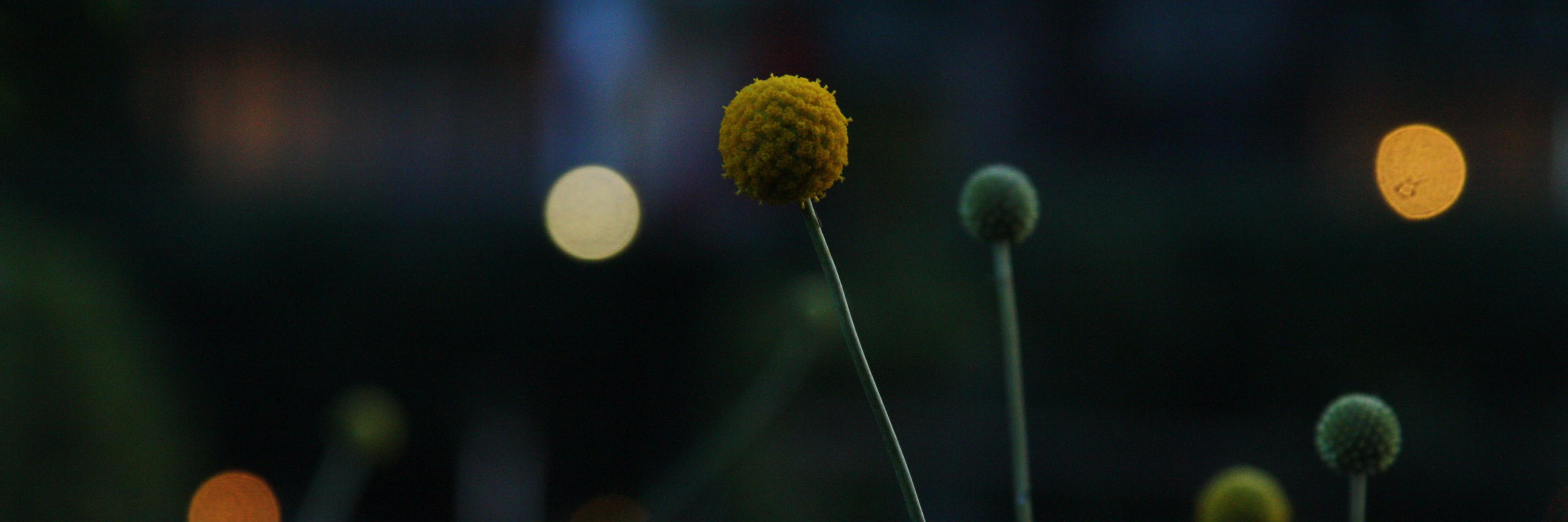 장소영 - Karen banner