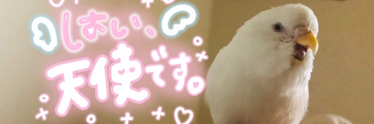 freshpeachww's profile banner image