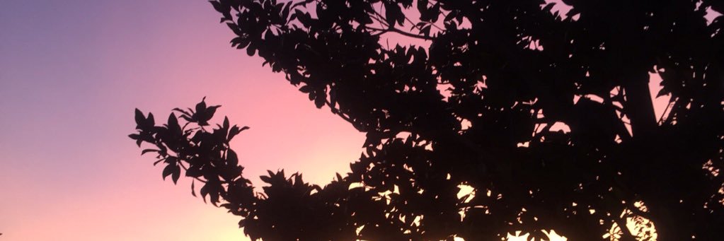 begtara's profile banner image