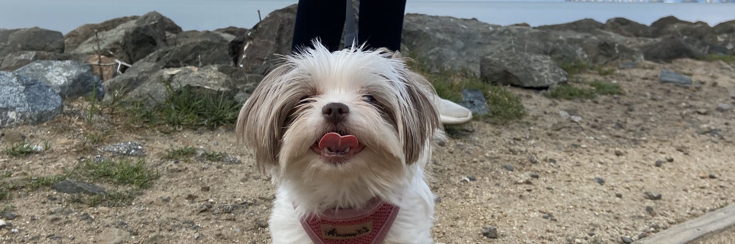 haleykogaaaa's profile banner image