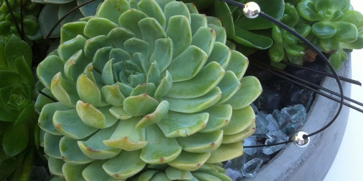 VERTmalibu's profile banner image