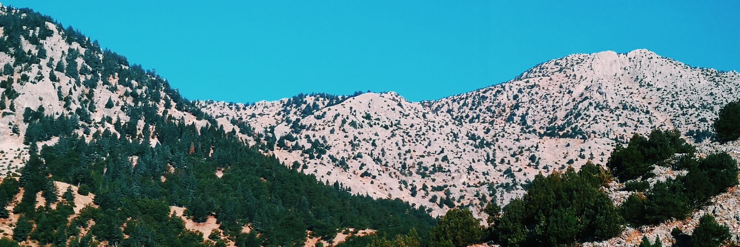 edtuoz's profile banner image