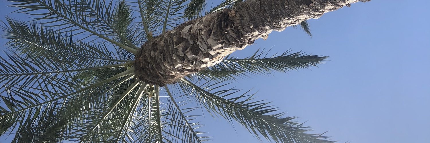 lilycockerill's profile banner image